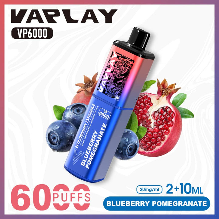 Vaplay VP6000 Disposable Vape Box of 5 #Simbavapes#